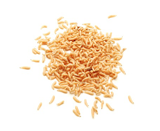 live feeder waxworm